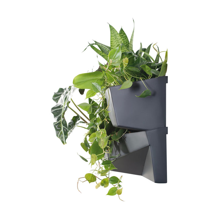 Prosperplast Cascade Garden Wall Вертикална градина IO3W800-S433