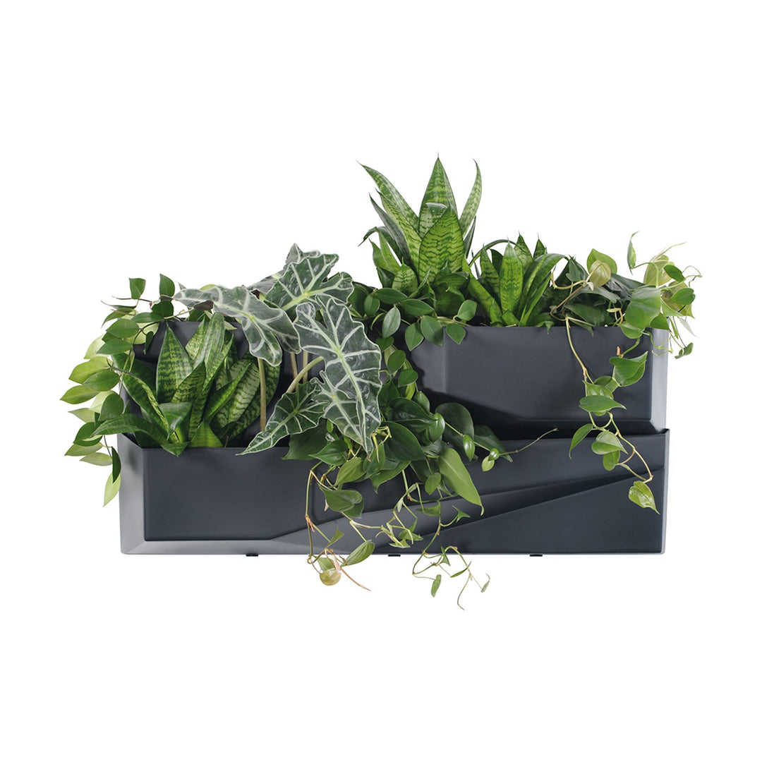 Prosperplast Cascade Garden Wall Вертикална градина IO3W800-S433