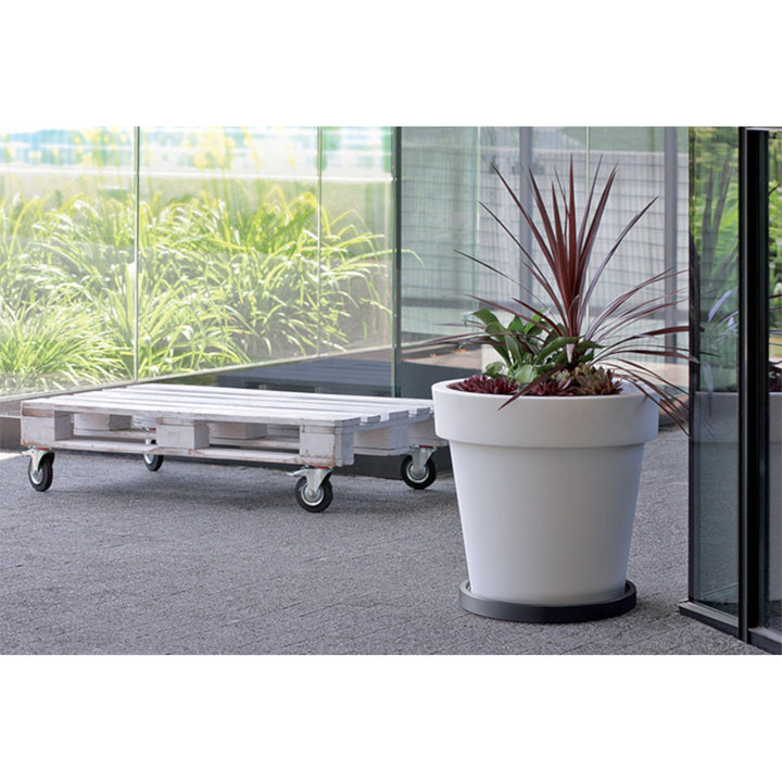 Prosperplast Mobile Saucer Round IPRR450-S433 поставка за саксия