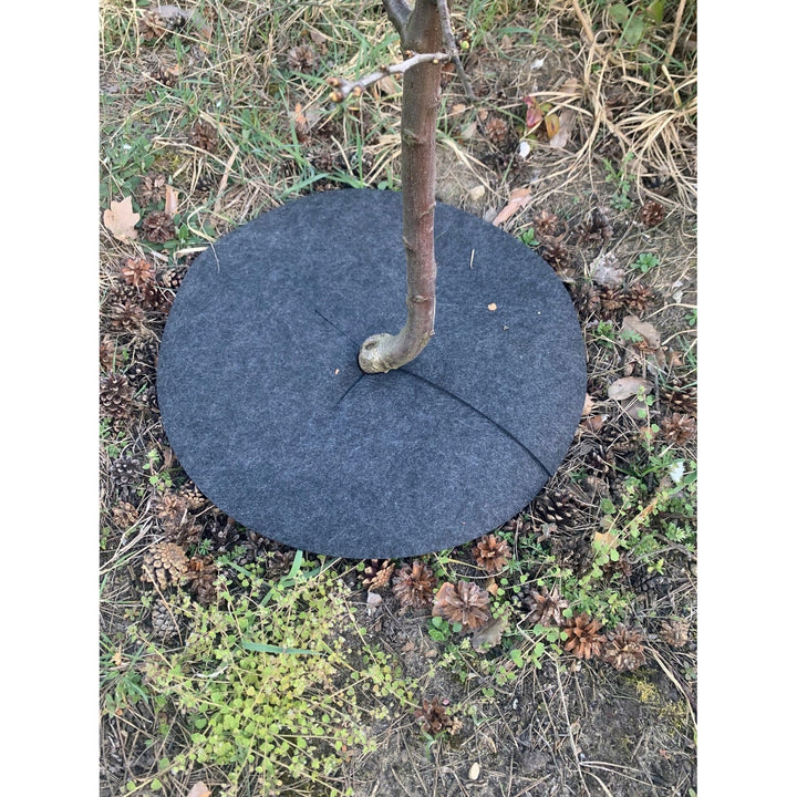 Комплект дискове за контрол на плевели Bertoni, 3 броя, 40 cm, сиви