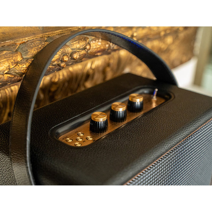 Преносим високоговорител Tracer, Bluetooth, FM радио, 30 W, черен, M30