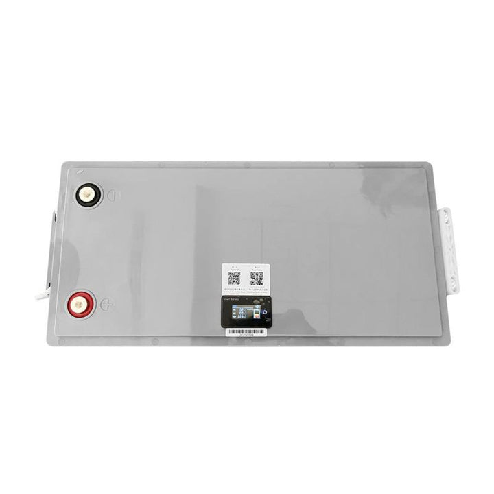 Lexton LiFePo4 литиево-железен фосфатен акумулатор, със система BMS, 12,8 V, 200 Ah, LXLFP200 + LTC Energy LiFePO4 зарядно устройство за акумулатори