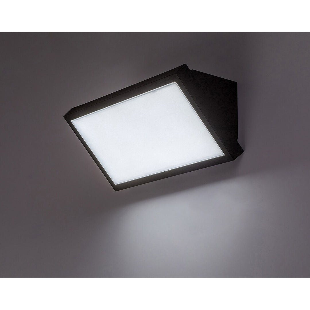 Лампа Rabalux Rapla2 LED 18 W, черна, IP65, енергиен клас F, регулиране на цветовата температура 2700, 4000, 6500 K, 77150