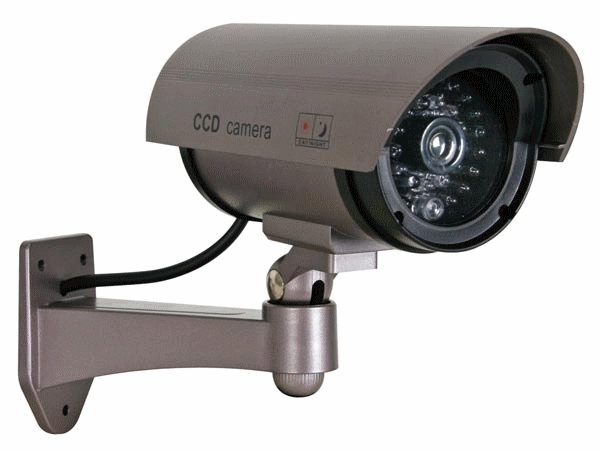 Камера с фалшива тръба, IR LED диоди, сребриста, IR1100S