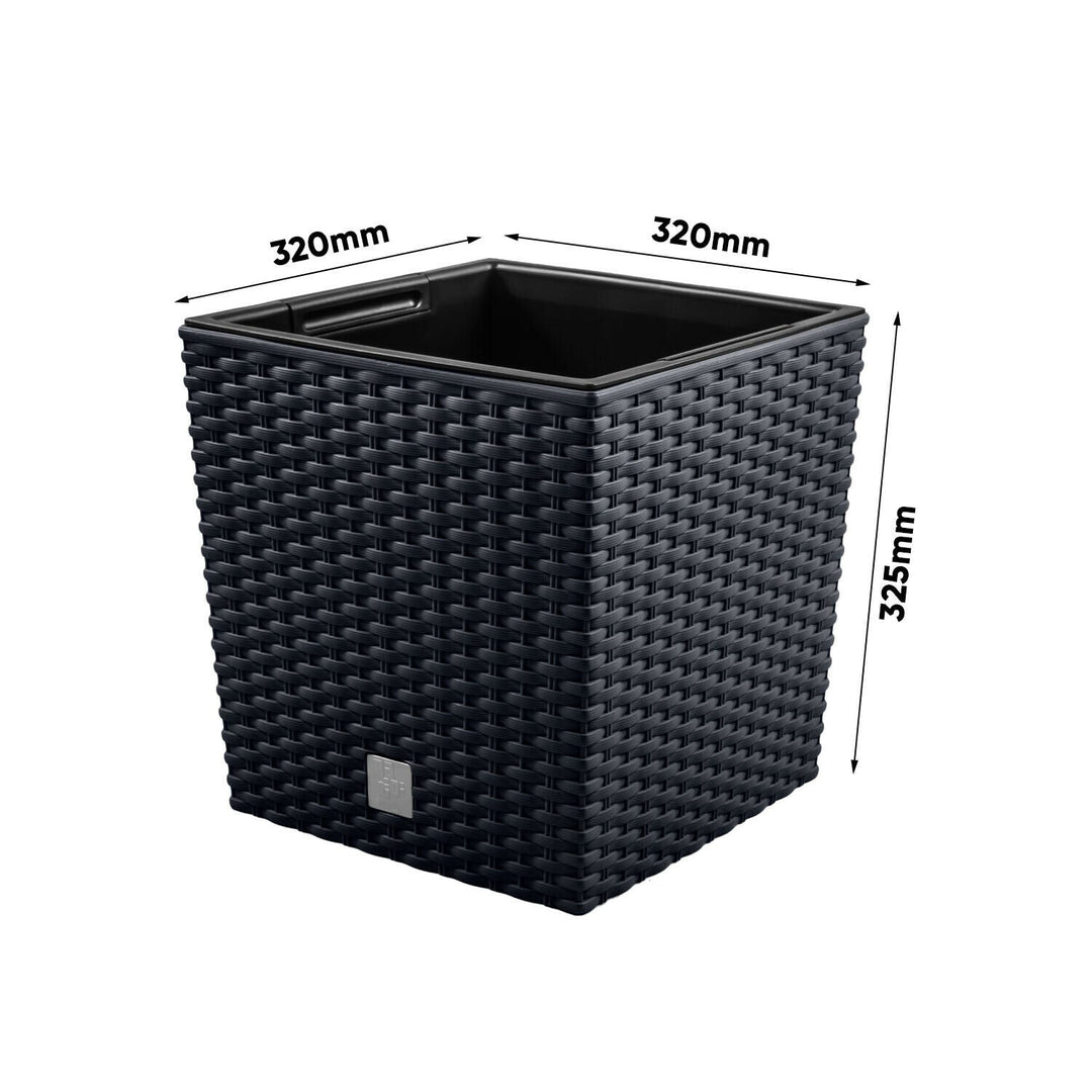 Проспепласт Rato Low DRTS325L S433 антрацитова сандъчка за цветя с вложка