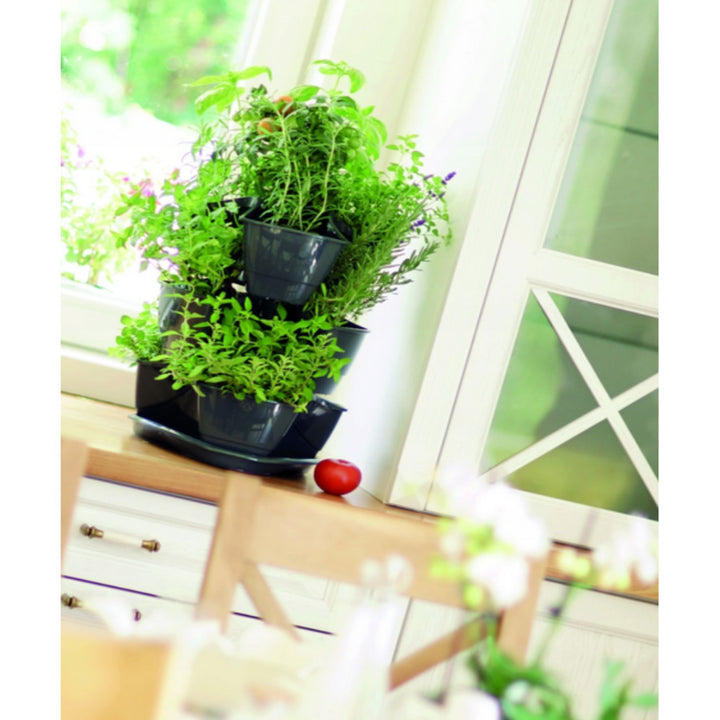 Coubi Herbal тройна каскадна саксия за билки, антрацит