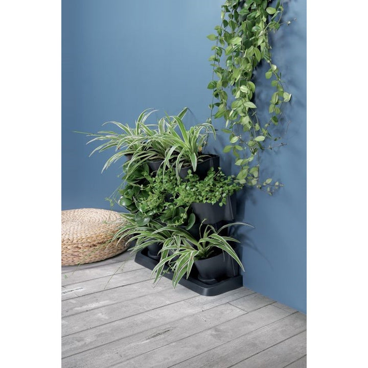 Prosperplast Cascade Garden вертикална градина, антрацит
