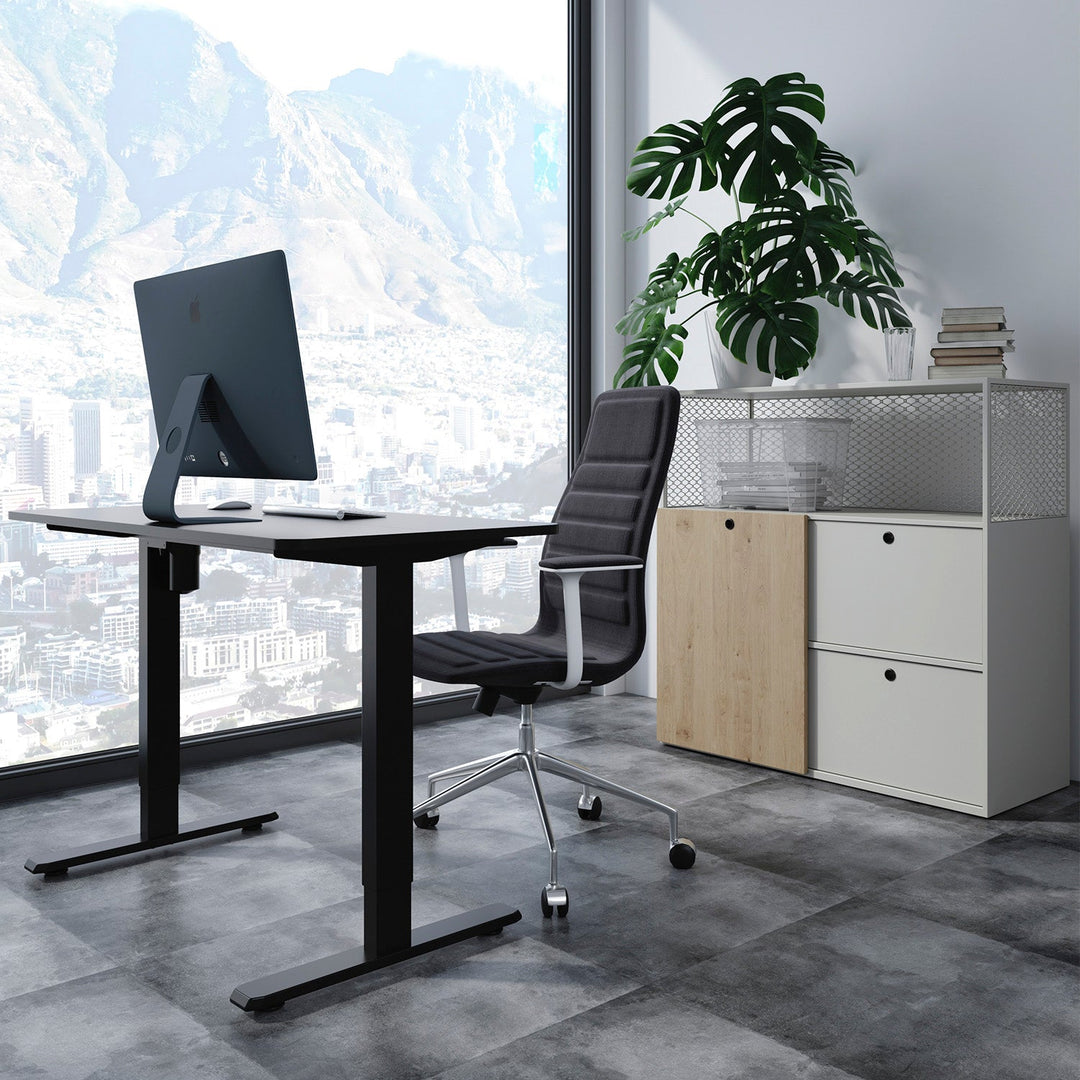 Електрическо бюро Ergo Office, 1 мотор, регулиране на височината, макс. 1160 mm, макс. тегло 80 kg, ER-443