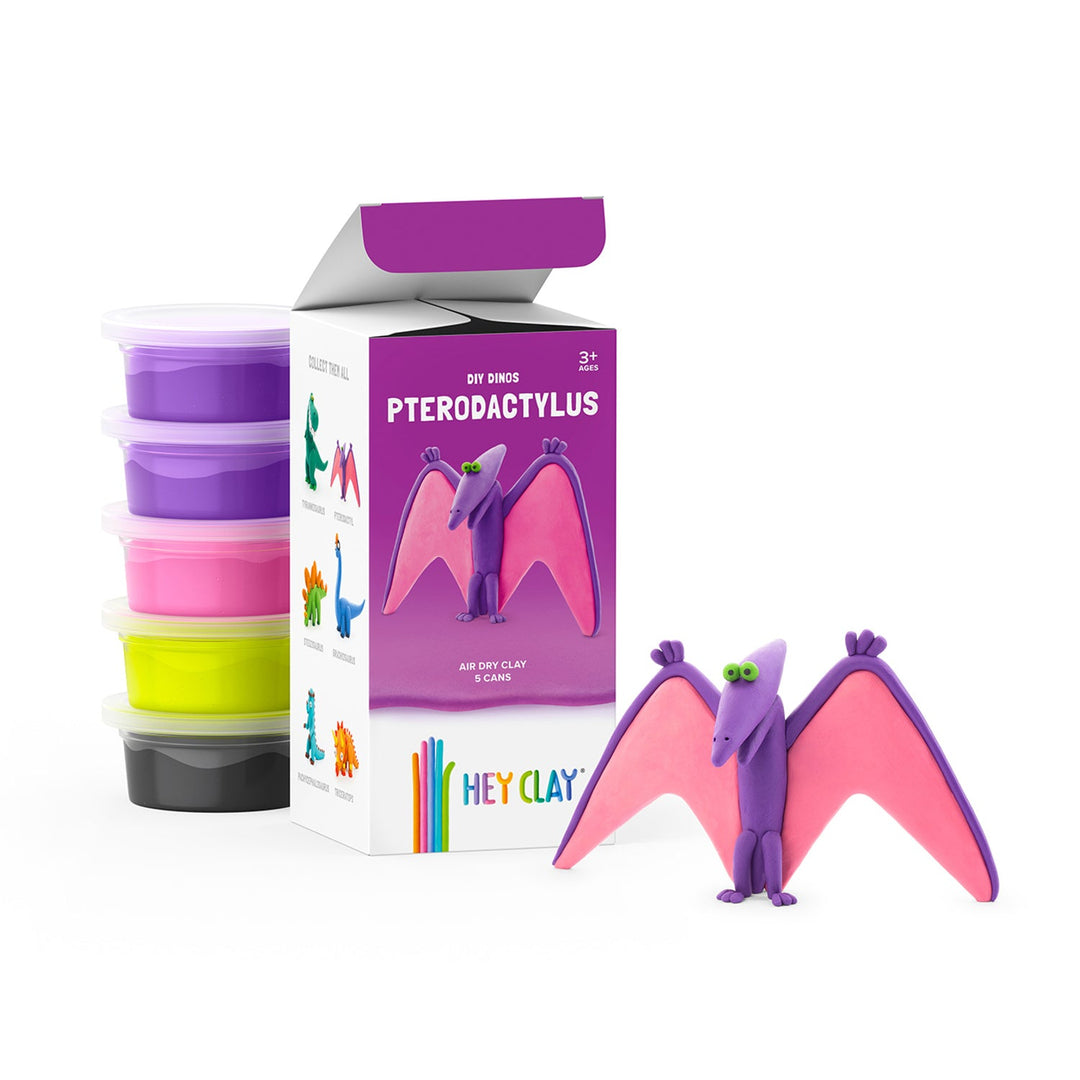 Hei Clay DIY DIY Pterodactyl Dinos kit de ambarcațiuni creative HCLMD001