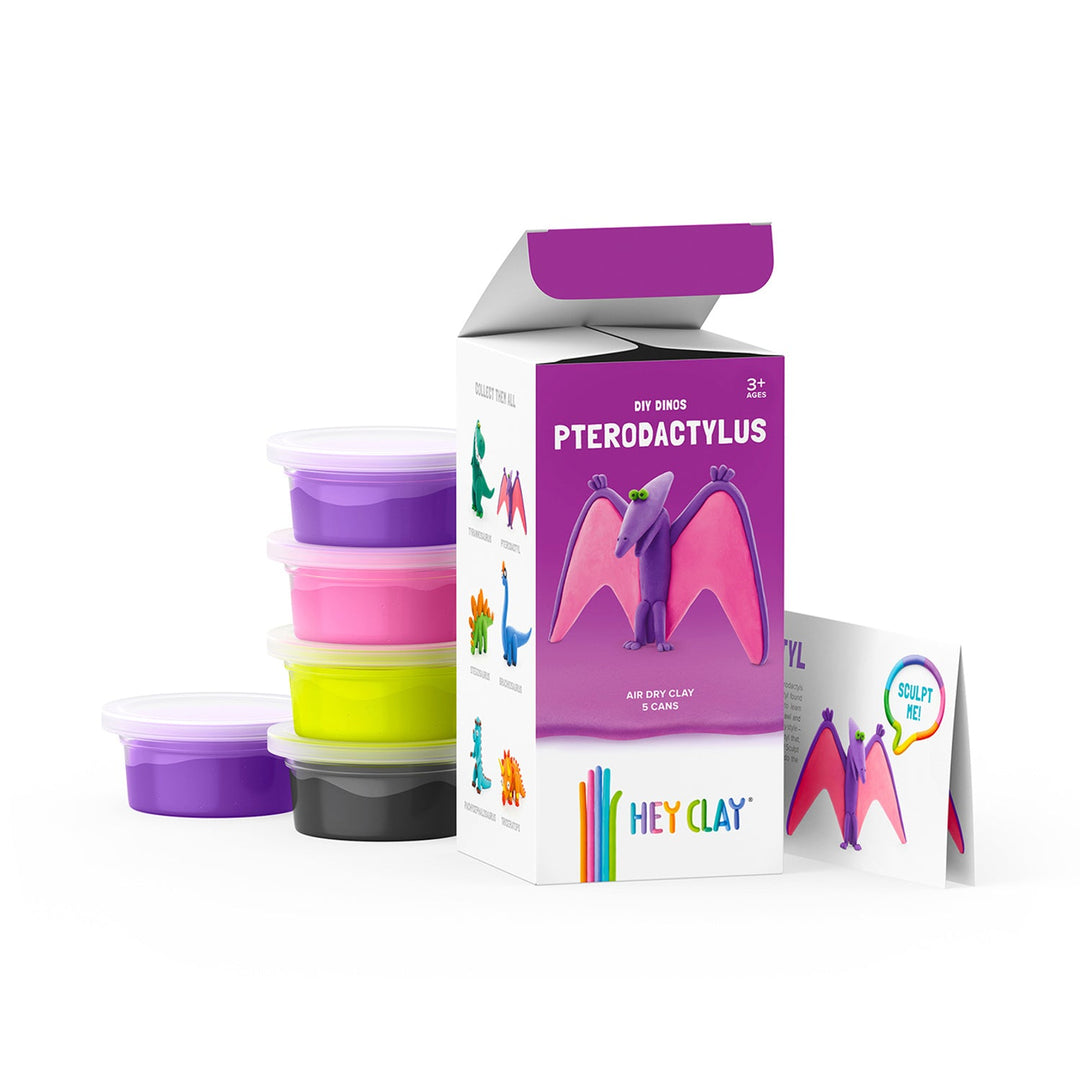Hei Clay DIY DIY Pterodactyl Dinos kit de ambarcațiuni creative HCLMD001