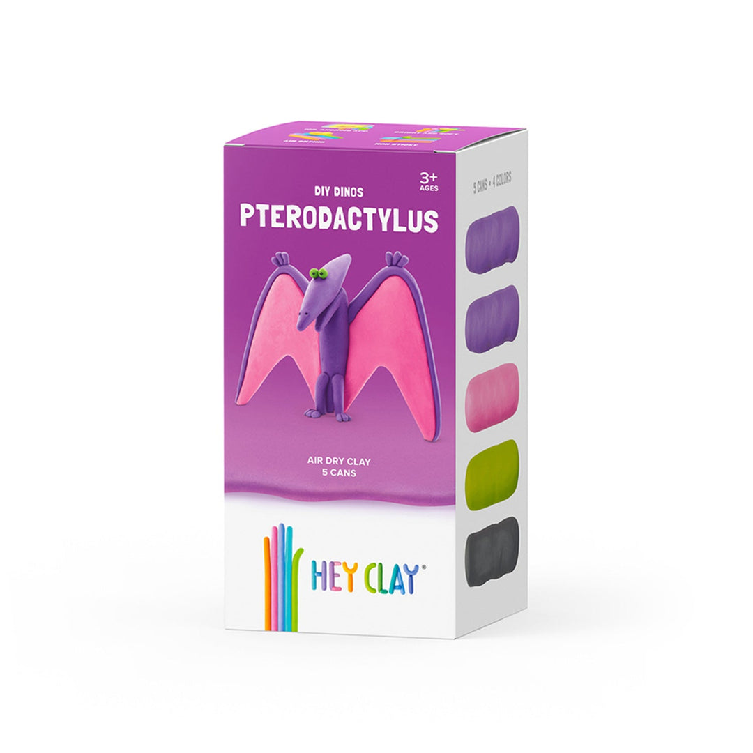 Hei Clay DIY DIY Pterodactyl Dinos kit de ambarcațiuni creative HCLMD001