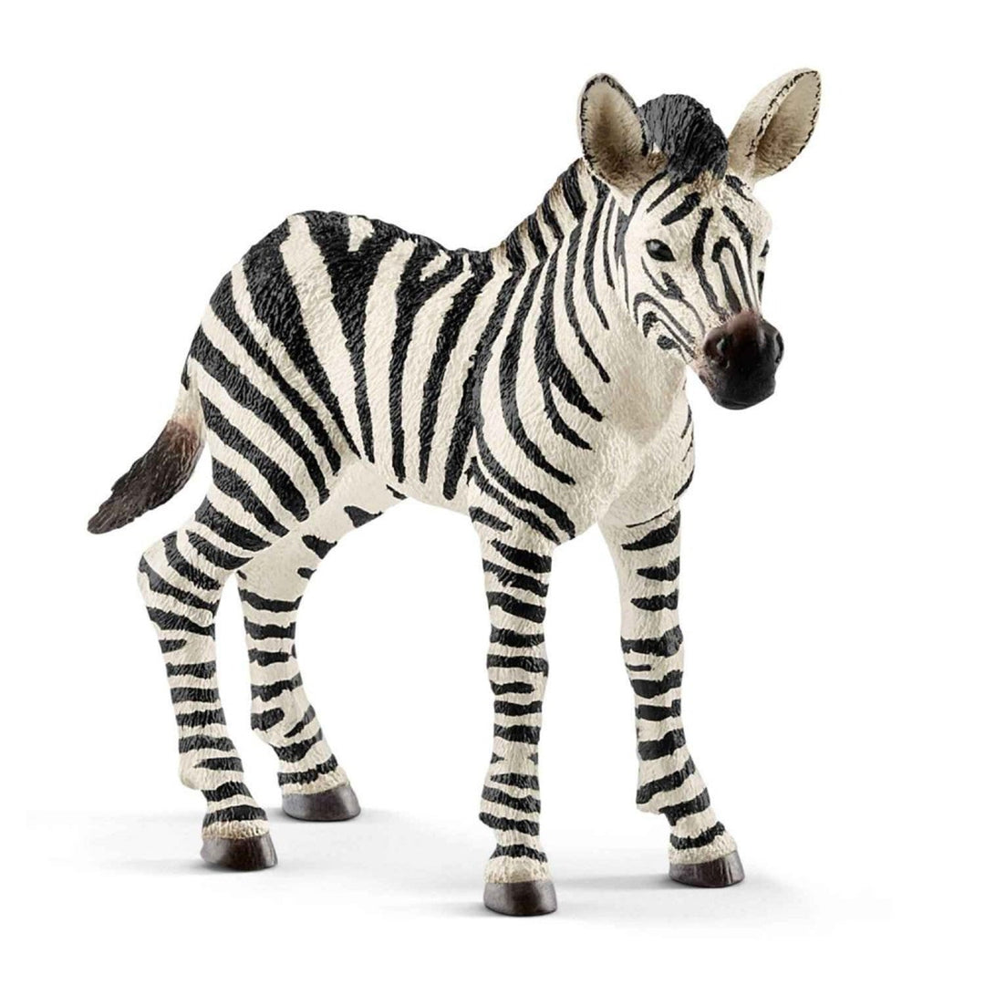 Schleich SLH14811 Figurină cu zbârcituri de zburătoare și mânz sălbatic Figurina Wild Life