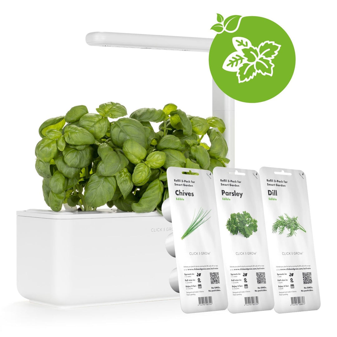 ALLOCACOC Gradina Click & Grow 3 Pcs Plant Pod Grow Kit Refill Dill