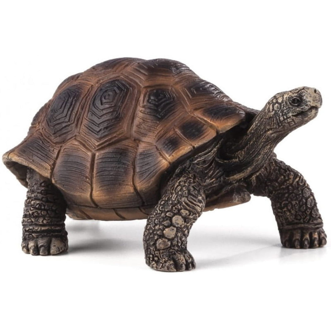 Figurina Broasca Testoasa, Animal Planet, 8 cm x 5 cm x 3,5 cm