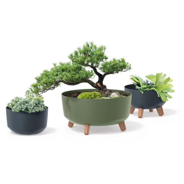 Prosperplast Gracia Low DGRL400L-443U светло сив саксия за цветя