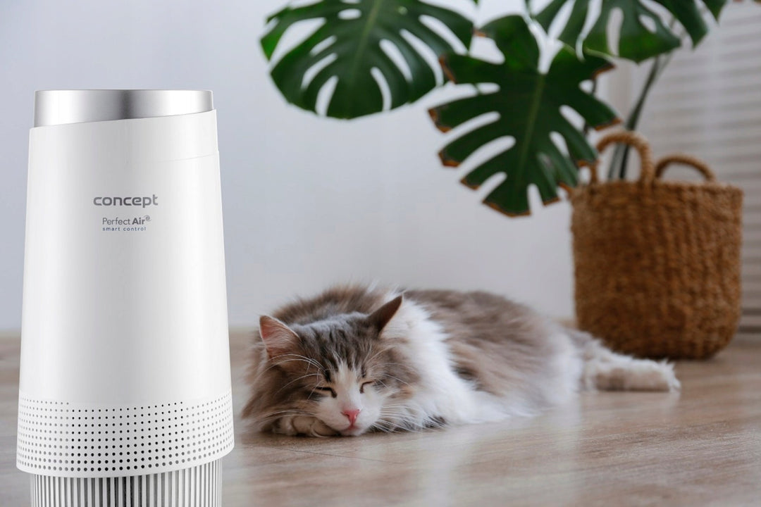 Smart Concept CA1010 Perfect Air пречиствател на въздух
