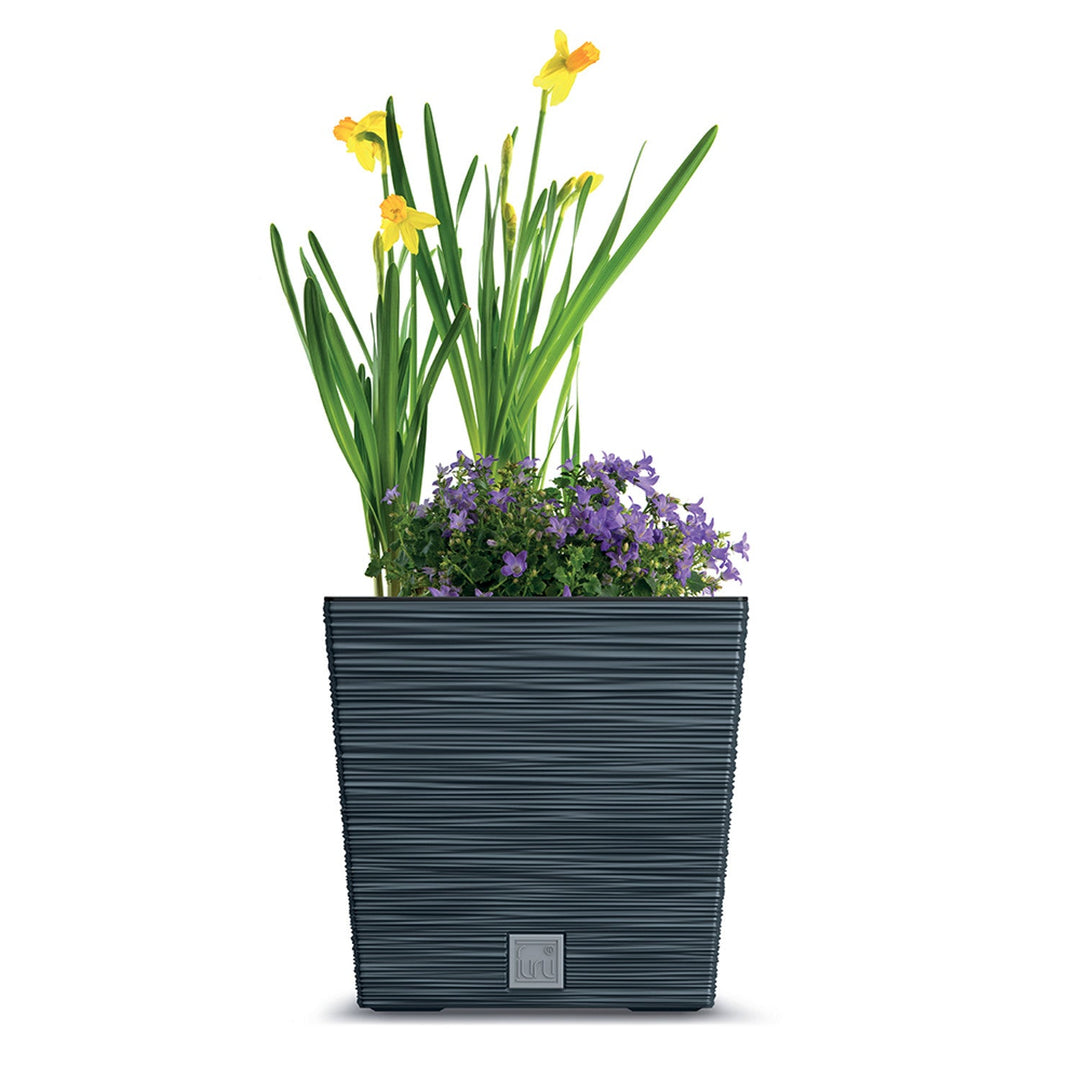 Просперпласт Furu Square Low DFS300-S433 саксия с вложка – цвят антрацит